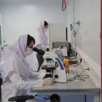 اتمام پروژه تولید آزمایشی کیت های ایمونوکروماتوگرافی